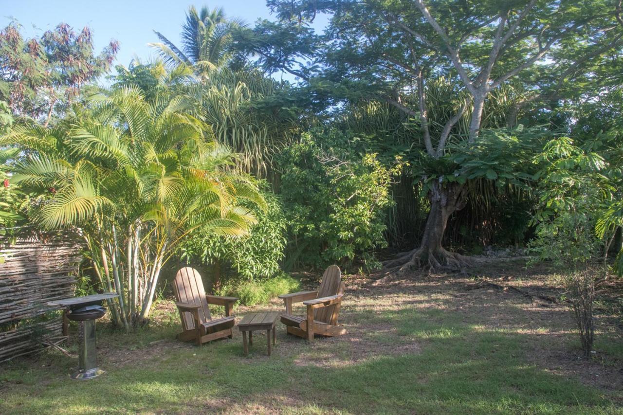 Gite Le Colibri Chez Pascale Et Laurent Bungalow Cannelle Avec Reserve D'Eau แซงต์-ฟรองซัวส์ ภายนอก รูปภาพ
