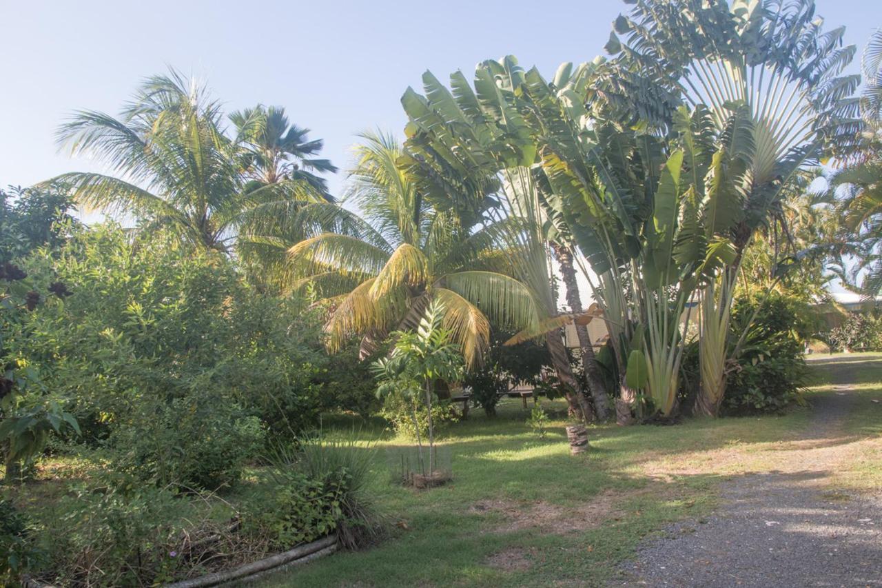 Gite Le Colibri Chez Pascale Et Laurent Bungalow Cannelle Avec Reserve D'Eau แซงต์-ฟรองซัวส์ ภายนอก รูปภาพ