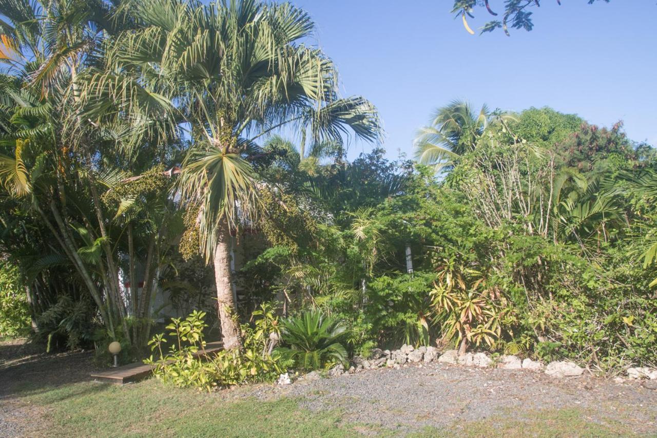 Gite Le Colibri Chez Pascale Et Laurent Bungalow Cannelle Avec Reserve D'Eau แซงต์-ฟรองซัวส์ ภายนอก รูปภาพ
